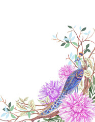 Watercolor floral vintage Illustration background with eastern indian japanese blossom flowers bouquet peacock © HoyaBouquet