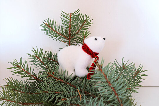 Un ours blanc perdu sur les sapins