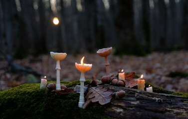 decorative mushroom-shaped candles close up on tree trunk, autumn forest dark nature background. Wax craft decor. Magic Ritual with burning candles. Witchcraft, spiritual esoteric ceremony.