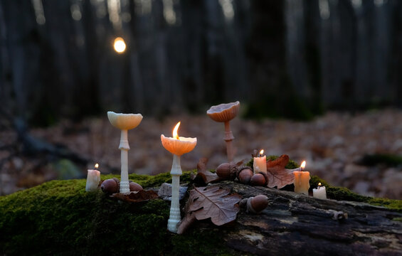 decorative mushroom-shaped candles close up on tree trunk, autumn forest dark nature background. Wax craft decor. Magic Ritual with burning candles. Witchcraft, spiritual esoteric ceremony.