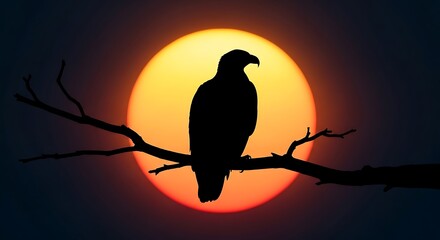 majestic bald eagle perches on a branch