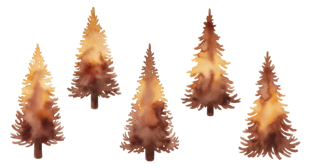 Isolated pine trees, watercolor drawings of forest firs in an autumnal brown hue for design