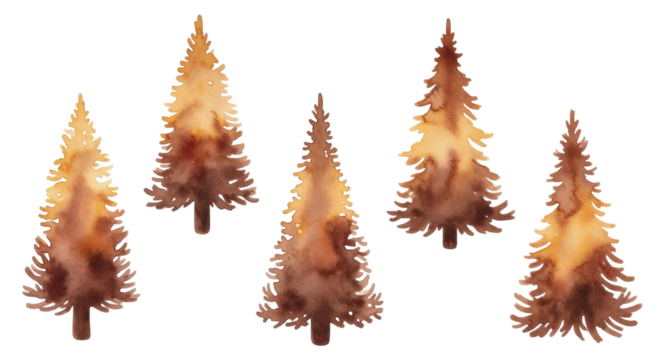 Isolated pine trees, watercolor drawings of forest firs in an autumnal brown hue for design