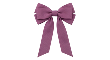Isolated violet purple ribbon bow for gift decoration on present. Holiday and occasion concept