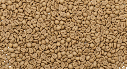 Isolated unroasted raw coffee beans, full frame background of light brown seed ingredient