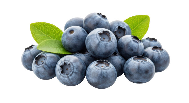Isolated fresh pile of blueberries with leaves, delicious and healthy snack, food and fruit