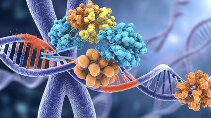 Complex protein machine repairs chromosome by cutting and rejoining DNA segments
