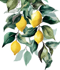 Charming watercolor composition of a lemon tree branch with golden lemons and vivid green foliage - vector illustration