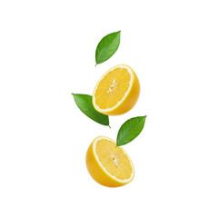 Lemon isolated on transparent background
