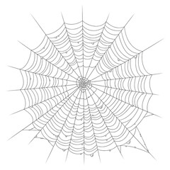 Obraz premium Intricate dew-kissed spiderweb design element