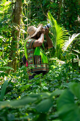 Nature photographer capturing wildlife in tropical rainforest with telephoto lens