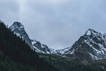 moody autumn cold day in carpathian peaks with snow on top low visibility