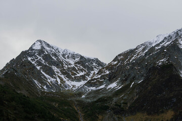 moody autumn cold day in carpathian peaks with snow on top low visibility