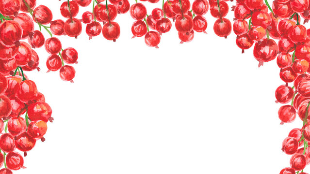 Watercolor red currant berries rectangular frame isolated on white background. Hand drawn isolated on white with copy space for text. Red berries for invitations, cookbook, kitchen and seasonal decor