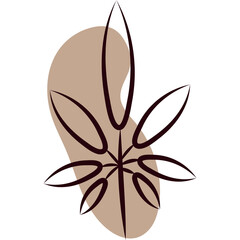 Minimalist Botanical Illustration of a Stylized Leaf with Abstract Organic Shape in Neutral Beige and Brown Tones Isolated on Transparent Background Elegant Abstract Design