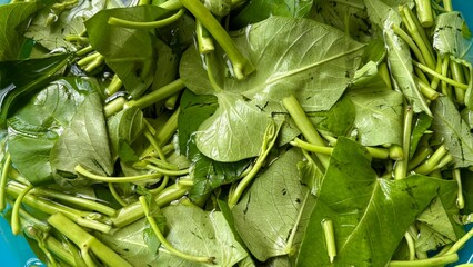Close up green vegetables in the water preparing to cook.