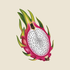  Dragon Fruit - Exotic and Vibrantly Colored Tropical Delight