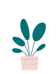 Flat design transparent aesthetic flower in the pot