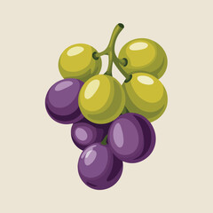 Fresh and Juicy Green and Purple Bunch of Grapes
