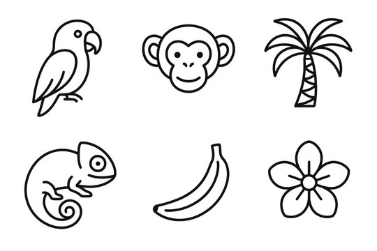 Outline icons of tropical animals and plants: parrot, monkey, palm, chameleon, banana, flower