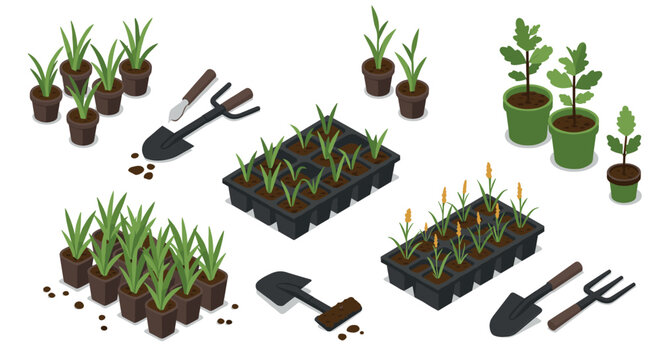 Isometric gardening tools and seedlings in pots and trays for home garden enthusiasts