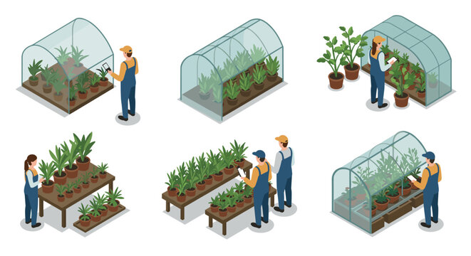 Isometric greenhouse gardening people caring for plants in various scenarios