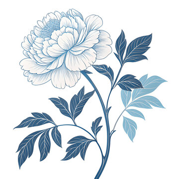 Elegant Peony Bloom: A Vintage Botanical Line Art Illustration
Intricate Crimson and Pink Peony Flower Sketch