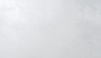 Fototapeta premium Plain light gray texture with subtle surface detail