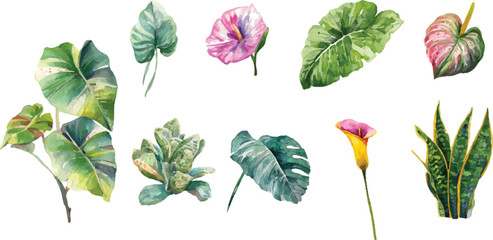 set of watercolor flowers