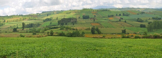 panorama landscape of farm in the countryside