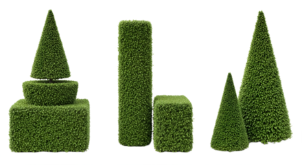 A group of topiary plants on transparent background