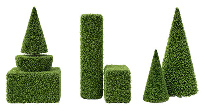 A group of topiary plants on transparent background