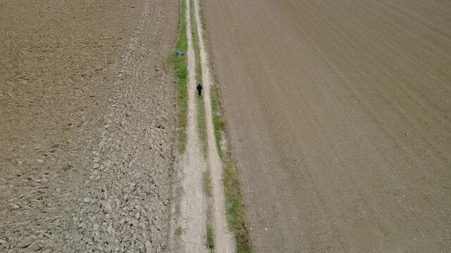 Pianura Padana, campi di grano appena nato, strade di campagna, passegiate, cascinali, gelsi dal drone - San Giuliano Vecchio -  Alessandria - Piemonte - Italia