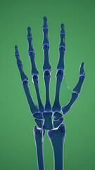 A futuristic digital skeleton hand with neon glow, displaying intricate circuitry and technology-inspired details. This high-tech design is ideal for digital art, AI, and cybersecurity themes.