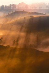 sunrise over the hill at Sunrise point Cukul Pangalengan Bandung West Java Indonesia