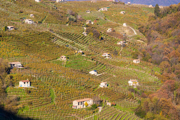 Prosecco Hills