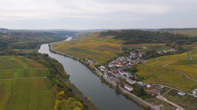 Moselle Valley, Remich village, Mosel river, riesling vineyard landscape in autumn, border between Germany and Luxembourg, agriculture