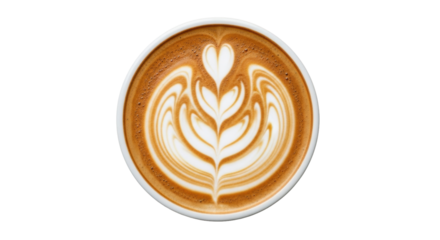 Isolated cappuccino coffee with foamy heart and fern latte art design for cafe or shop