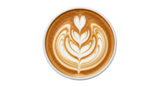 Isolated cappuccino coffee with foamy heart and fern latte art design for cafe or shop