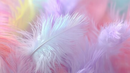 Obraz premium Soft pastel feathers macro shot