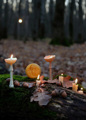 decorative mushroom-shaped candles and moon amulet in autumn forest, dark nature background. Wax craft decor. Magic Ritual with burning candles. Witchcraft, spiritual esoteric ceremony.
