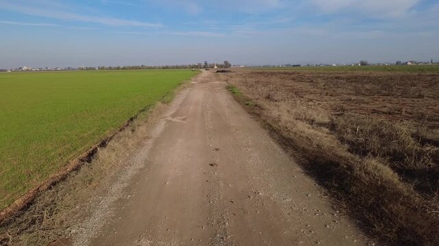 Pianura Padana, campi di grano appena nato, strade di campagna, passegiate, cascinali, gelsi dal drone - San Giuliano Vecchio -  Alessandria - Piemonte - Italia