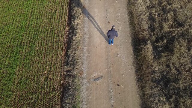 Pianura Padana, campi di grano appena nato, strade di campagna, passegiate, cascinali, gelsi dal drone - San Giuliano Vecchio -  Alessandria - Piemonte - Italia