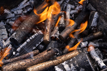 a bonfire made of logs from fruit trees and an orange flame during the preparation of the barbecue for cooking meat, burning logs in the grill for hot coals and roasting meat