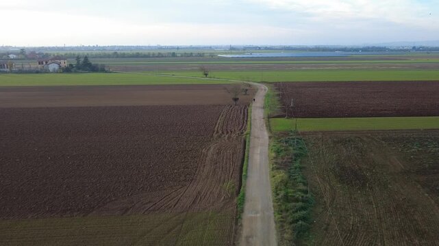 Pianura Padana, campi di grano appena nato, strade di campagna, passegiate, cascinali, gelsi dal drone - San Giuliano Vecchio -  Alessandria - Piemonte - Italia