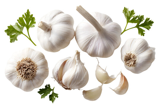 a bunch of garlic and some parsleya
