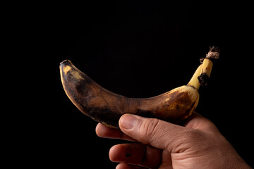High-contrast macro of a hand holding a fully ripened and darkening banana fruit.