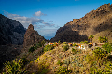 View of Masca Valley framed by palm leaves, with steep volcanic cliffs and the small mountain village illuminated by afternoon light.