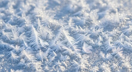 Frost patterns on ice surface winter cold