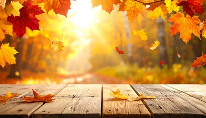 A wooden table overlooks a sunny, blurred forest scene with brightly colored autumn leaves both above and below